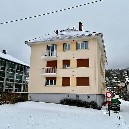 Les Violettes, Bel Appartement Au Centre-Ville Жерарме Экстерьер фото